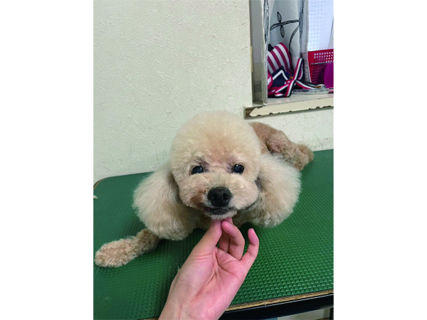 卒業生懇談会に来てくれた先輩♪～磯崎さん～